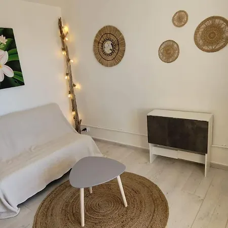 Apartment Vue Climatise Seaview Ac Saint Pierre La *