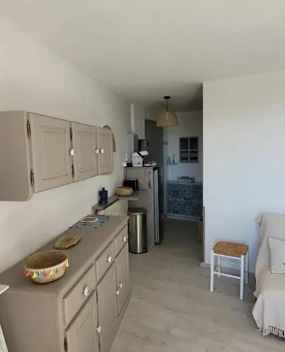 דירה Vue Climatise Seaview Ac Saint Pierre La פלורי